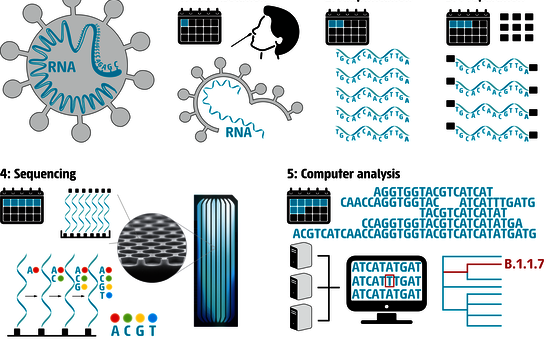 How does next-generation sequencing work and how long does it take?