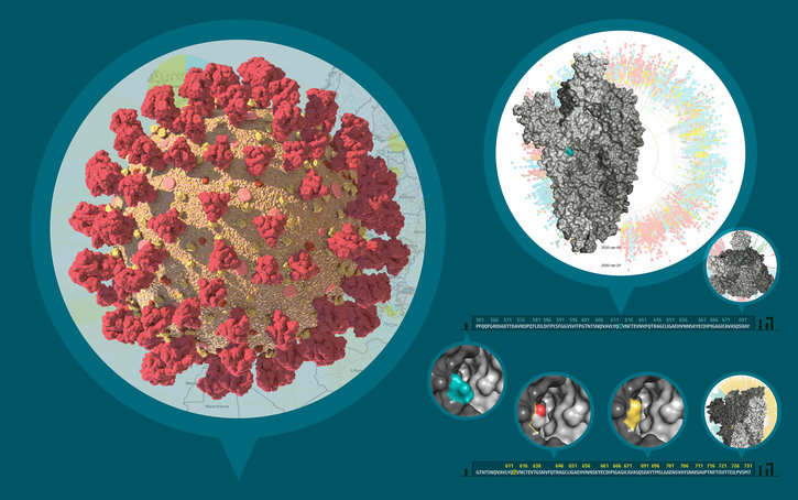 Release of over 200 new SARS-CoV-2 genomes provides unprecedented insights into transmission clusters in Austria