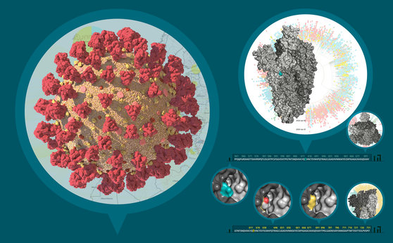 Release of over 200 new SARS-CoV-2 genomes provides unprecedented insights into transmission clusters in Austria