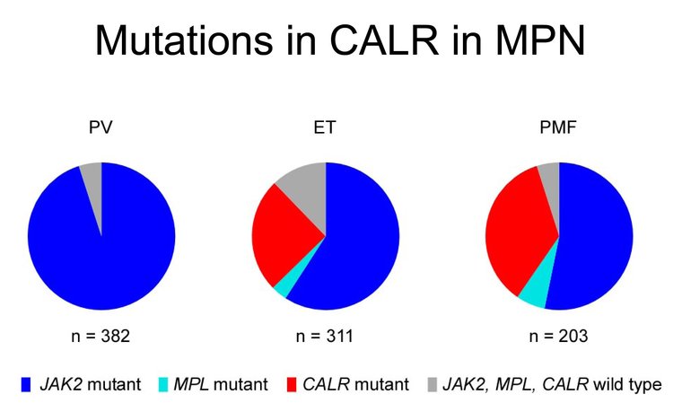 Mutations of CALR have been discovered by CeMM recently in an estimated 15% of cases of myeloproliferative neoplasms (MPNs)