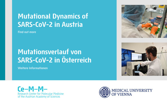 Mutational Dynamics of SARS-CoV-2 in Austria