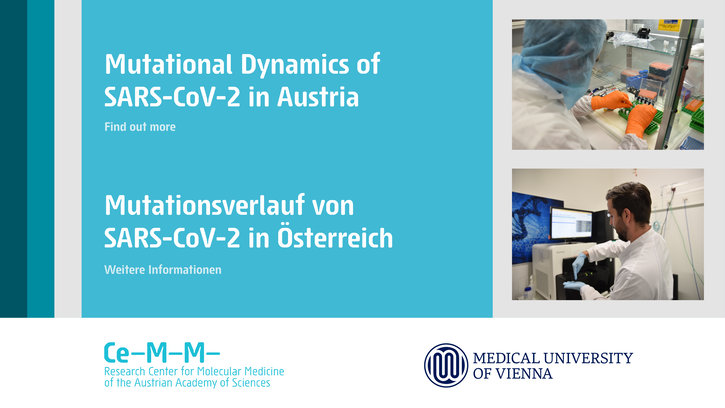 Mutational Dynamics of SARS-CoV-2 in Austria