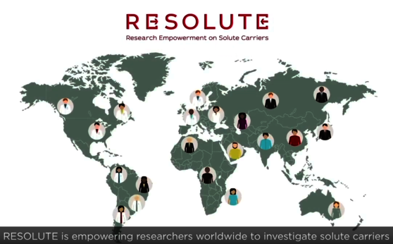 5th RESOLUTE Consortium Meeting (27-29 January 2021)