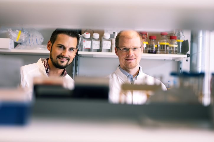 Master regulator of liver metabolism identified during infection Master regulator of liver metabolism identified during infection