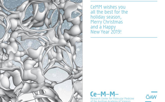 Season Greetings Season Greetings