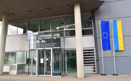 CeMM stands in solidarity with Ukraine