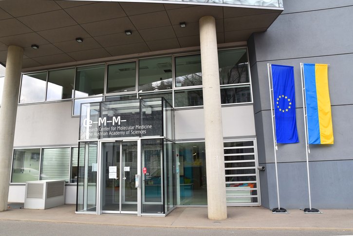 CeMM stands in solidarity with Ukraine