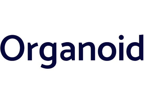 New EU-funded Research Project “HCA|Organoid”: Toward a Single-Cell Atlas of Human Organoids for Biomedical Research 