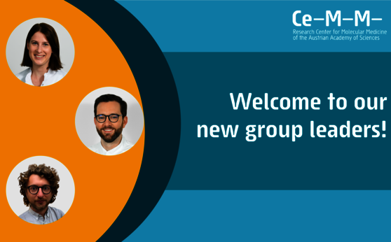 New research groups at CeMM: Barbara Maier, Georg Busslinger and Davide Seruggia