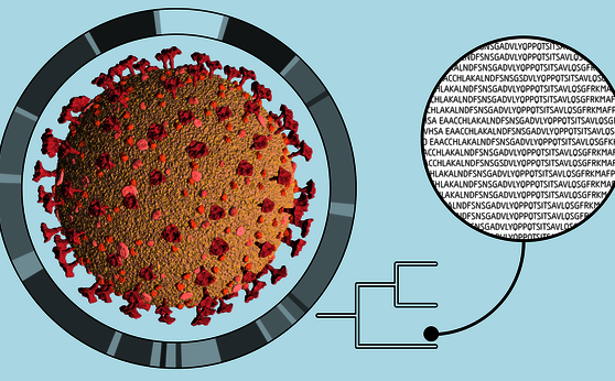 First SARS-CoV-2 genomes in Austria openly available