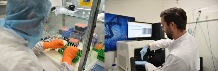 Mutational Dynamics of SARS-CoV-2 in Austria
