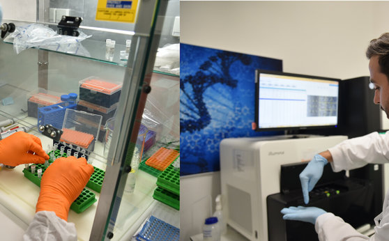 Mutational Dynamics of SARS-CoV-2 in Austria Mutational Dynamics of SARS-CoV-2 in Austria
