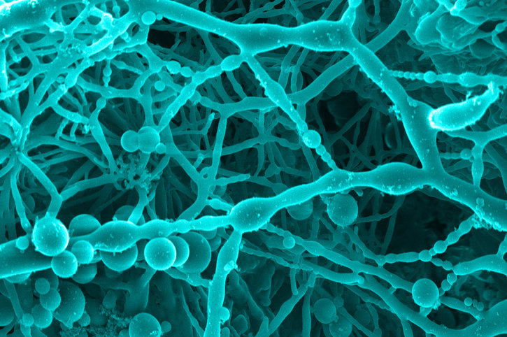 Eco-friendly process for synthesizing organic materials developed for high-performance materials industry