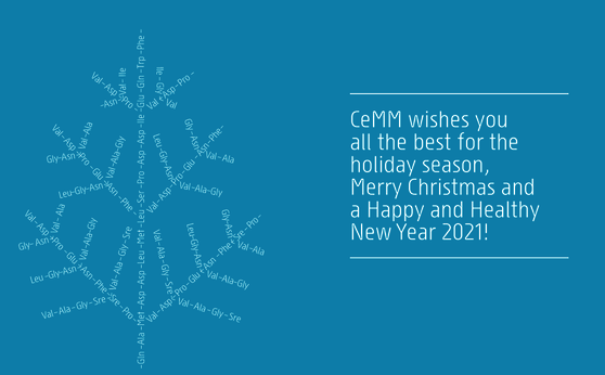 Season greetings 2020