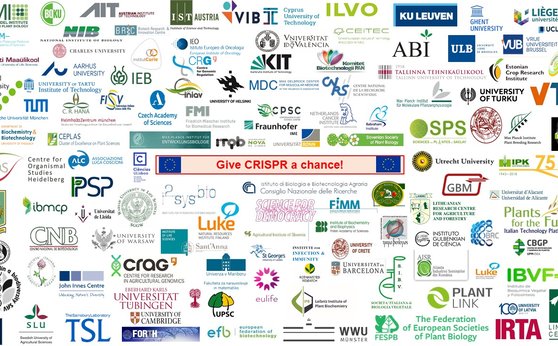 A public statement by numerous European institutes calls for the amendment of the EU's almost 20-year-old GMO legislation A public statement by numerous European institutes calls for the amendment of the EU's almost 20-year-old GMO legislation