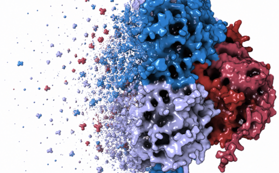 A New Layer of Control for a Decades-Old Leukemia Drug A New Layer of Control for a Decades-Old Leukemia Drug